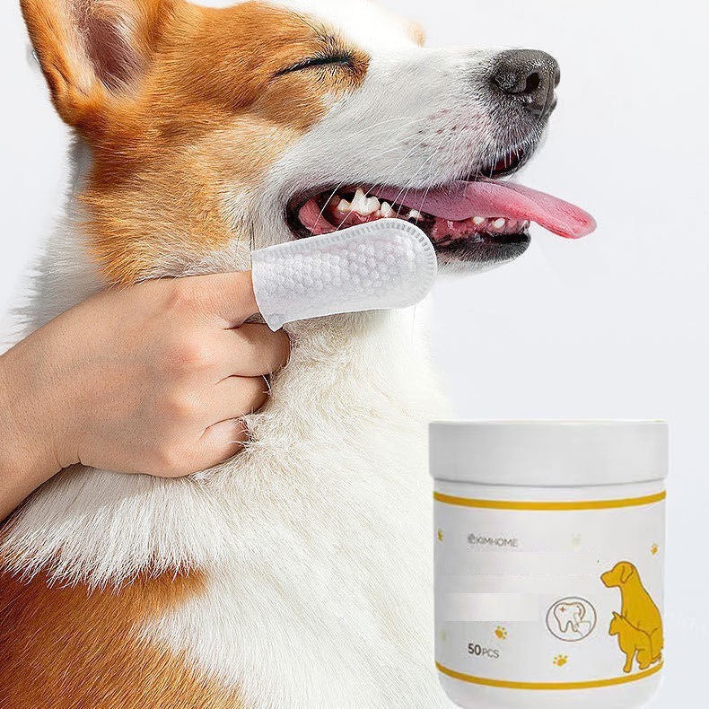 🐶😽2023 Pet Funny 30% OFF - LZYoehin™Pet Supplies Cat & Dog Daily Kit