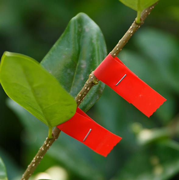 Plant Tying Tape Tool(🎉50% OFF - Early bird price ends in 5 days)