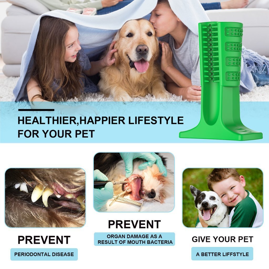 Dog Brushing Stick: The Revolutionary Way to Clean Your Dog¡¯s Teeth (Vet Recommended)