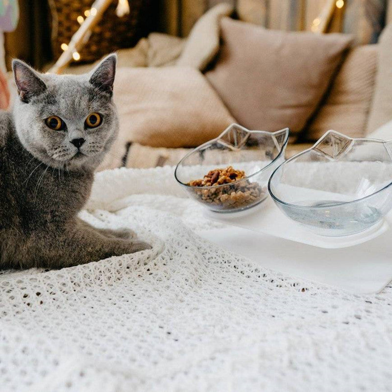 Smart Orthopedic Anti-Vomit Cat Bowl( Suitable for cats and dogs )đ±Pet Holiday Sale - 50% Off