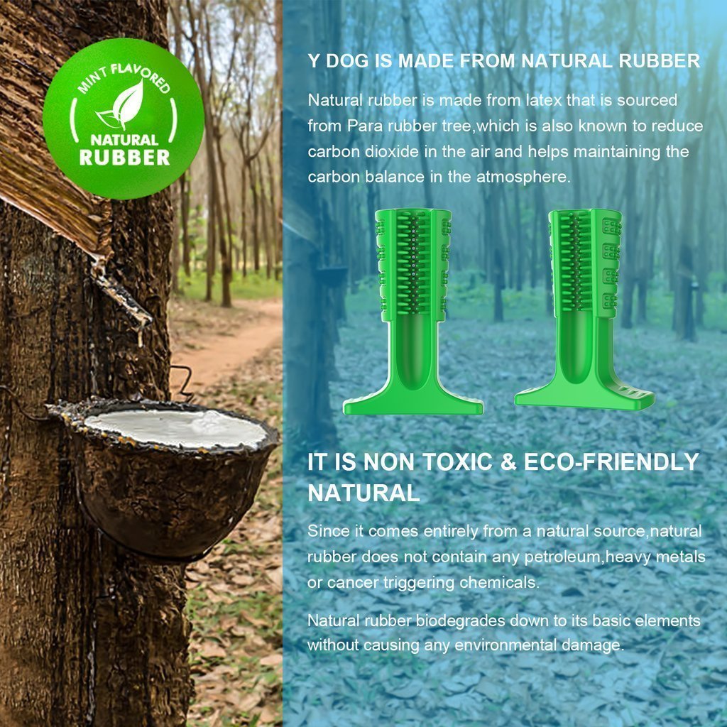 Dog Brushing Stick: The Revolutionary Way to Clean Your Dog¡¯s Teeth (Vet Recommended)