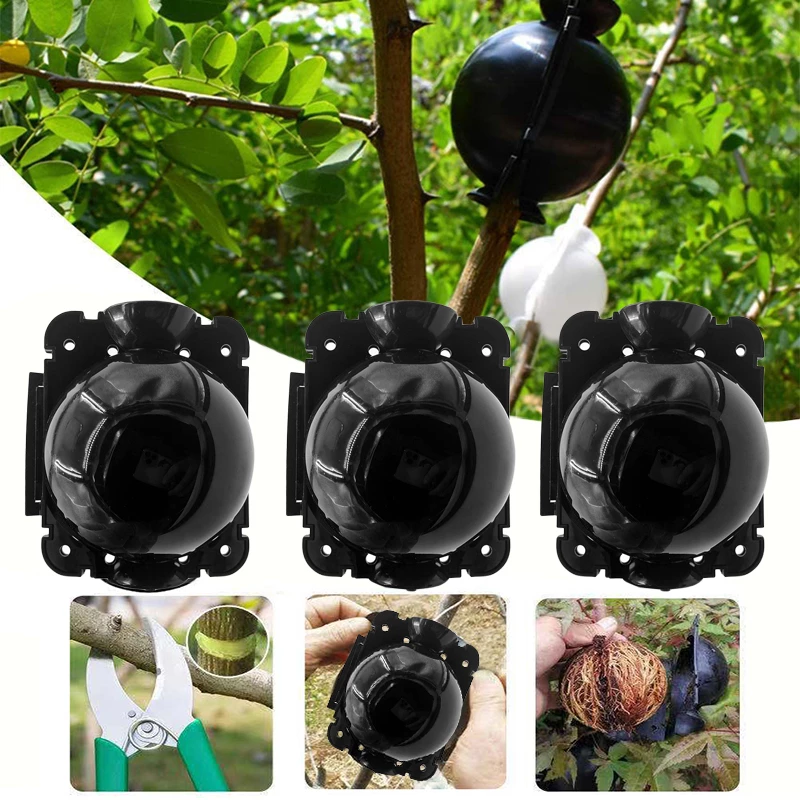 (đNew Year Big Sale - 50% OFF) -Plant Root Growing Box