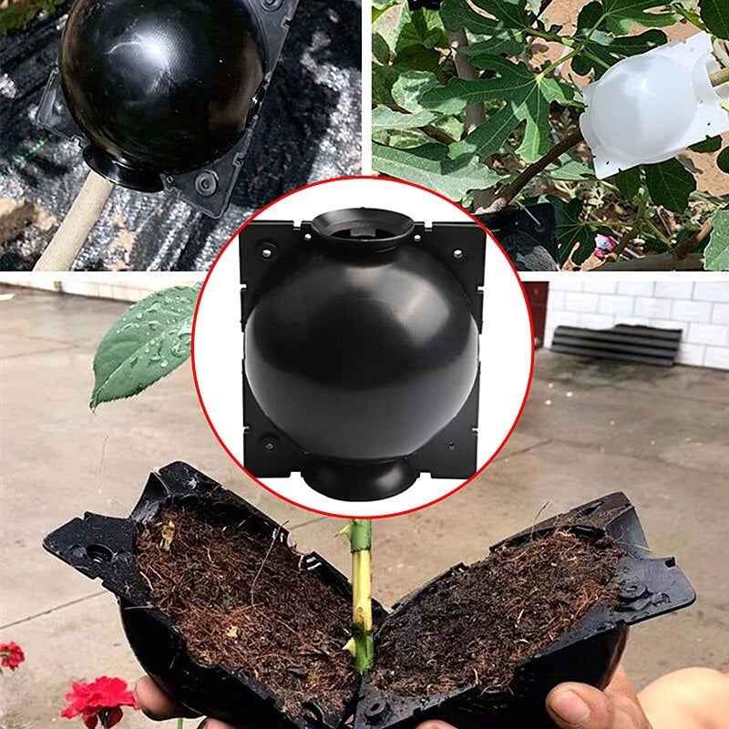 (đNew Year Big Sale - 50% OFF) -Plant Root Growing Box