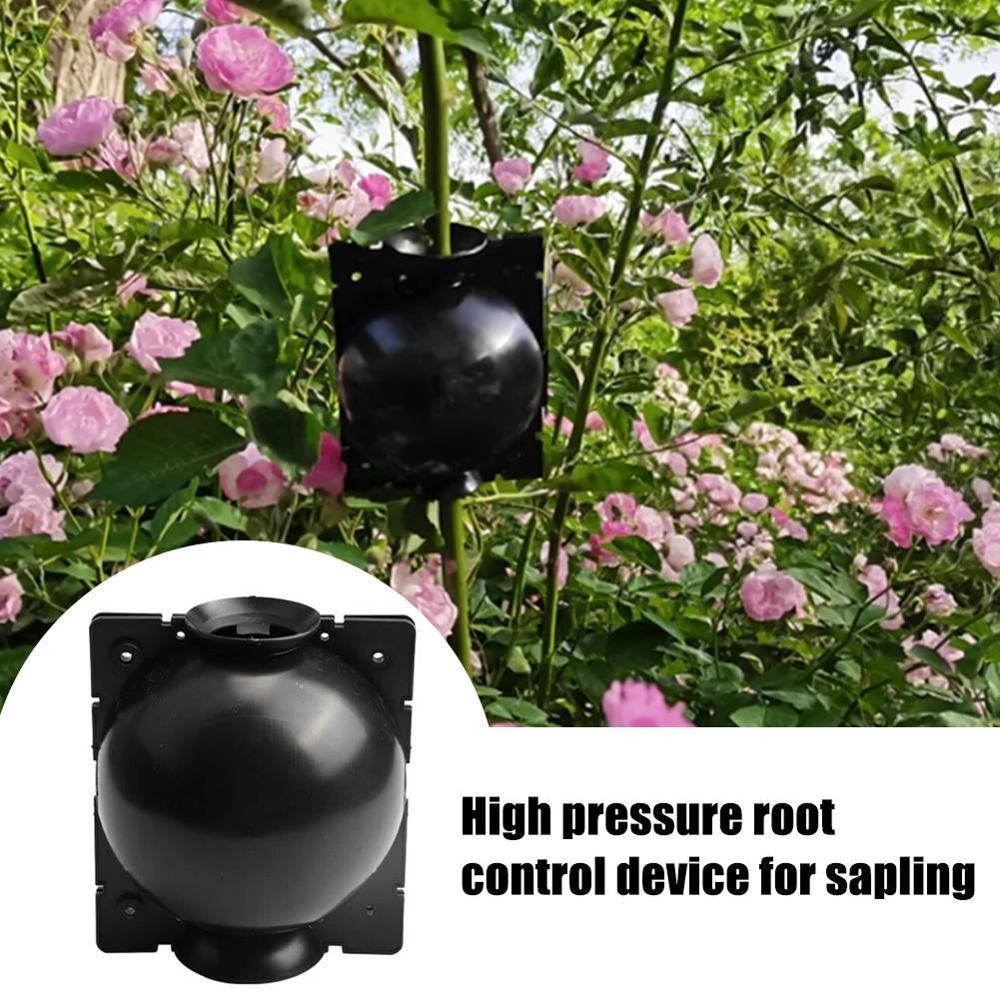 (đNew Year Big Sale - 50% OFF) -Plant Root Growing Box