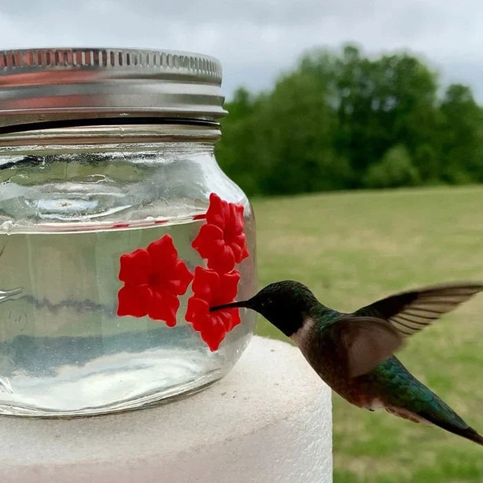 šSummer Funny Sale Buy one get one free - LZYoehinā¢Hummingbird Feeder Mason Jar Three Ports