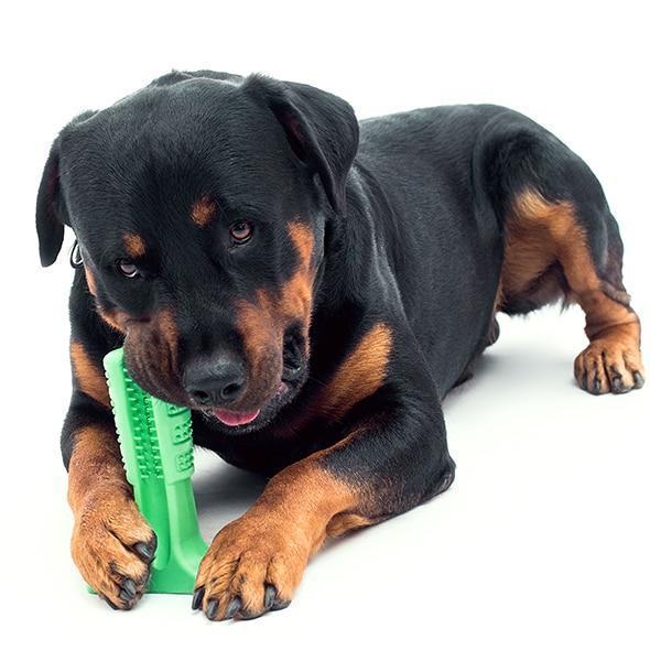 Dog Brushing Stick: The Revolutionary Way to Clean Your Dog¡¯s Teeth (Vet Recommended)