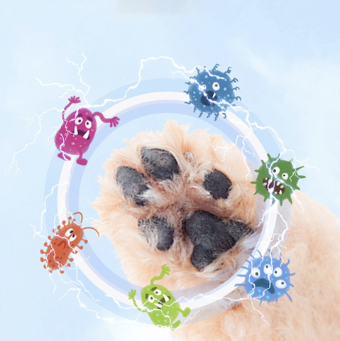 Portable Dog Paw Cleaner
