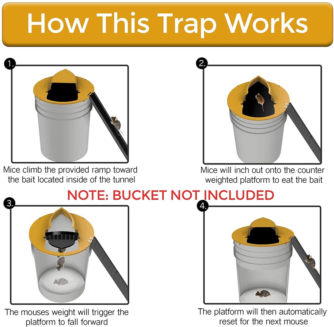 šHalloween Sale 40% Off - LZYoehinā¢Bucket Lid Mouse Trap(Nontoxic and harmless)