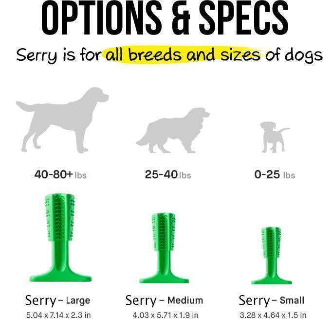 Dog Brushing Stick: The Revolutionary Way to Clean Your Dog¡¯s Teeth (Vet Recommended)