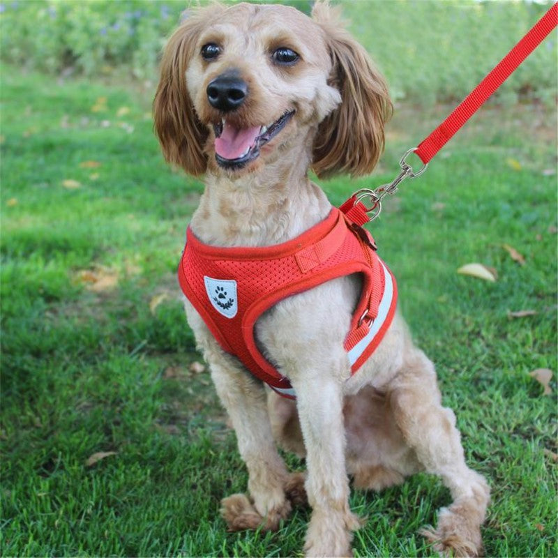 Adjustable Breathable Pet Harness🔥Semi-Annual Sale - 50% OFF !!!