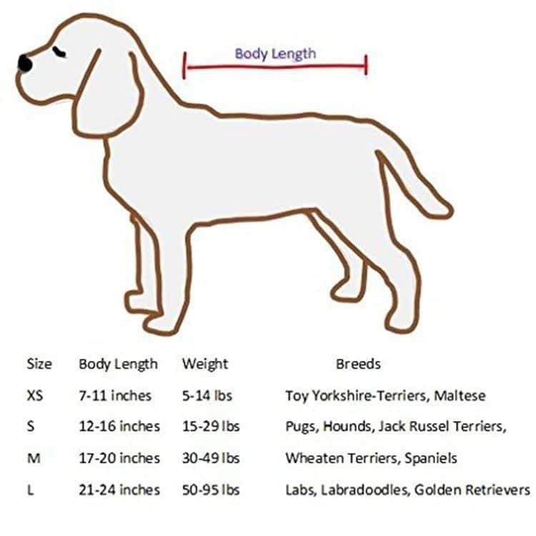 Pet Grooming Auto Hair Dryer