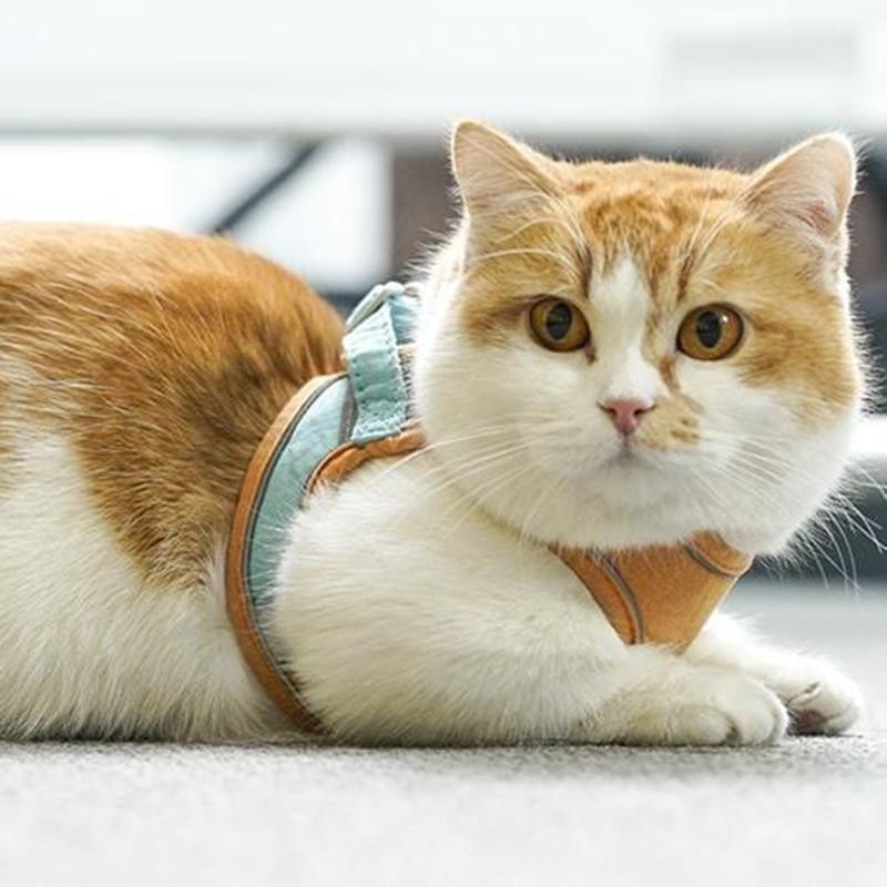 Cat Vest Harness and Leash Set- 🔥Semi-Annual Sale - 50% OFF !!!