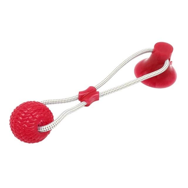 Suction Cup Chew Toy