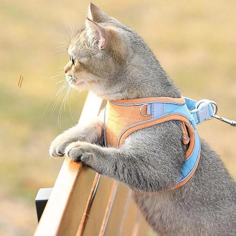 Cat Vest Harness and Leash Set- 🔥Semi-Annual Sale - 50% OFF !!!