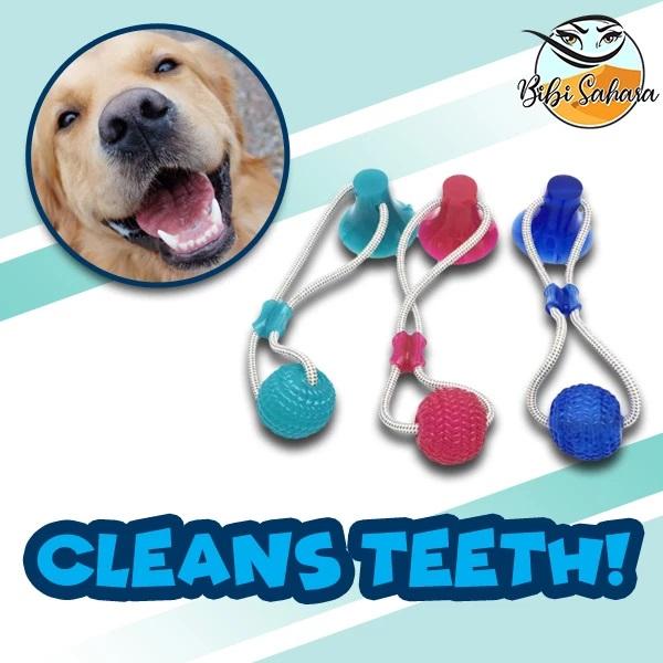 Suction Cup Pet Toy