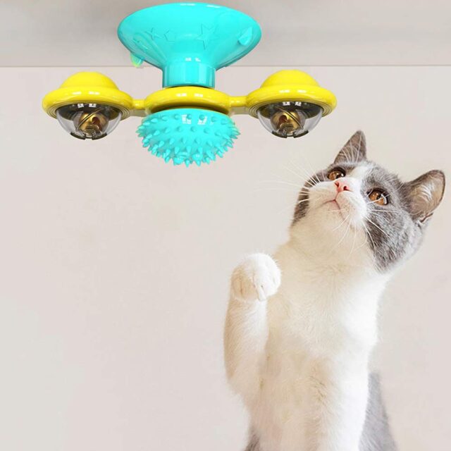 Cat Toy