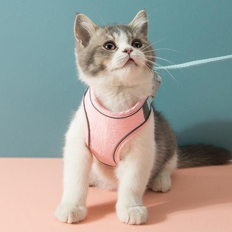 Cat Vest Harness and Leash Set- 🔥Semi-Annual Sale - 50% OFF !!!