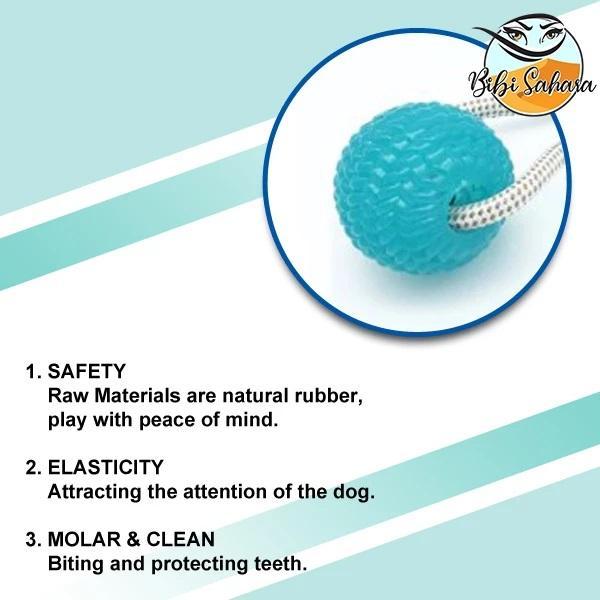 Suction Cup Chew Toy