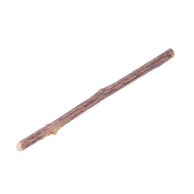 Stick Pet Cat Molar Toothpaste Silvervine