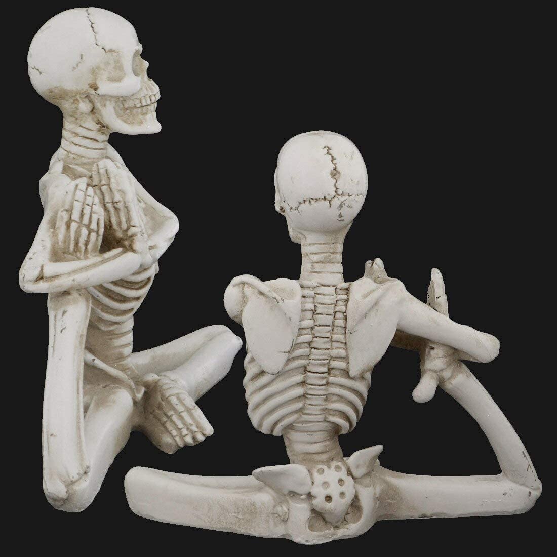 Skeleton Yoga Set