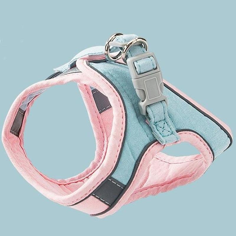 Cat Vest Harness and Leash Set- 🔥Semi-Annual Sale - 50% OFF !!!