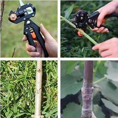 🎉2024 Spring Promotion 50% Off - LZYoehin™ Garden Professional Grafting Cutting Tool