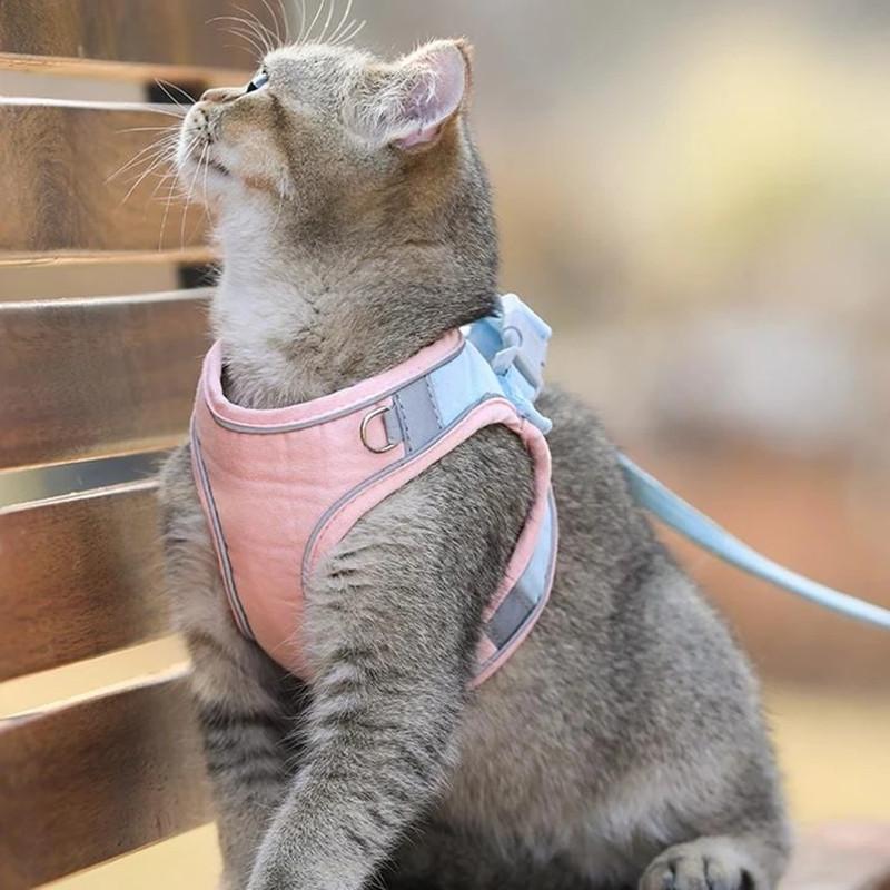 Cat Vest Harness and Leash Set- 🔥Semi-Annual Sale - 50% OFF !!!