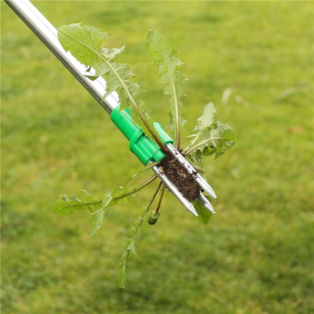 Standing Plant Root Remover