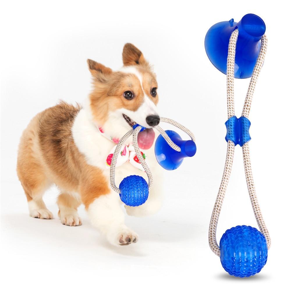 Dog Interactive Suction Cup Push Toys