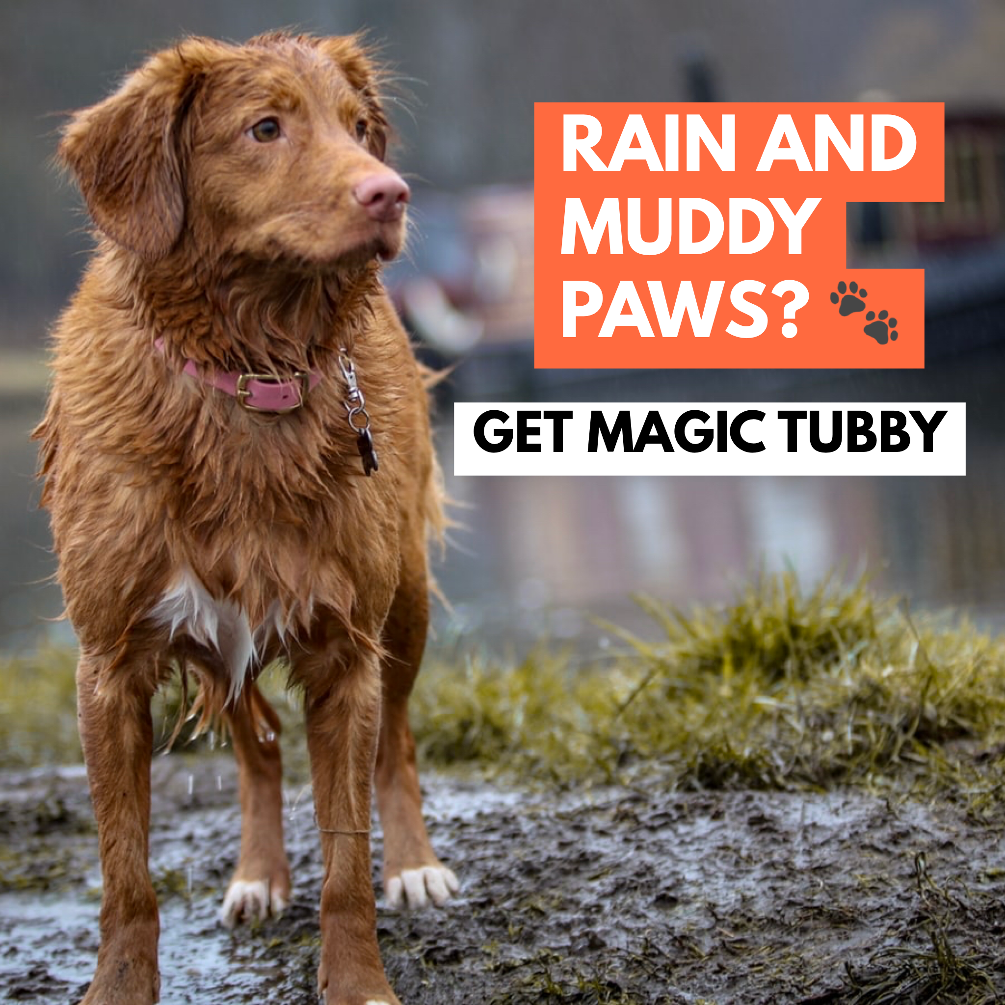 Portable Dog Paw Cleaner