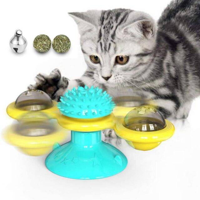 Cat Toy