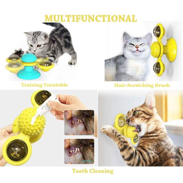 Cat Toy