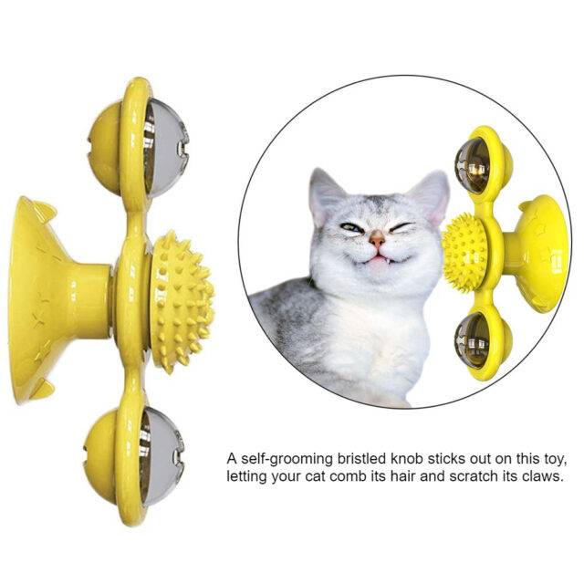 Cat Toy