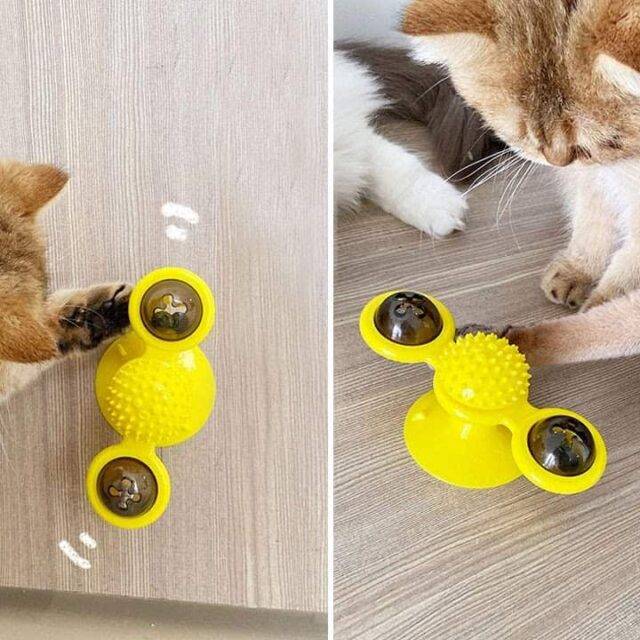 Cat Toy