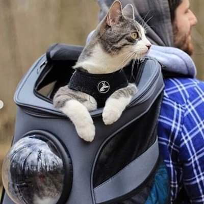 Pet Space Bag