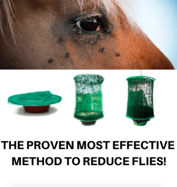Ranch Fly Trap