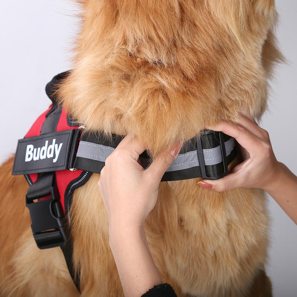 Dog Harness