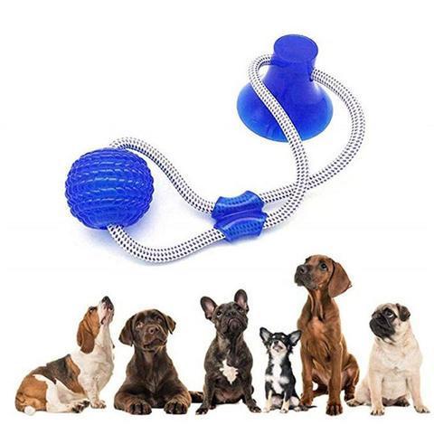 Dog Interactive Suction Cup Push Toys